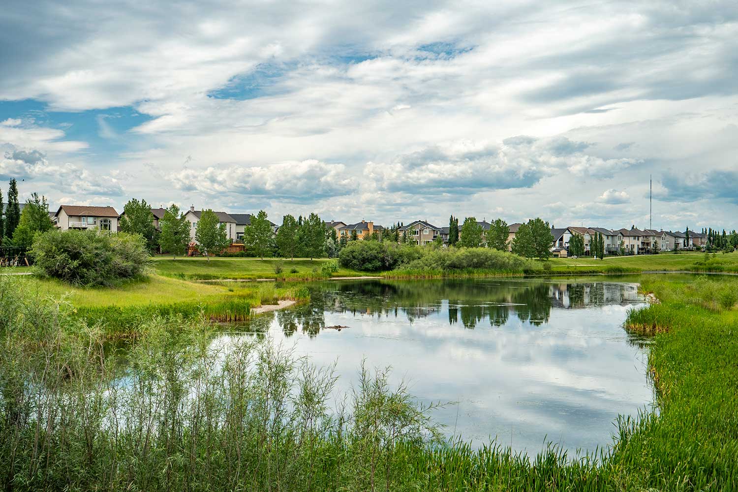 Cougar Ridge